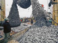 Une saison de grande pêche a commencé à Yamal