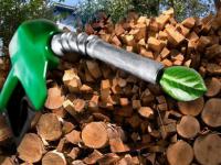 L’oblast de Tioumen va produire le biocarburant 