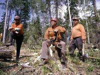 L’industrie forestière russe vit une mauvaise période